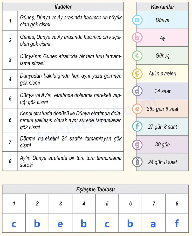 6. Sınıf Fen Bilimleri Ders Kitabı Sayfa 17 Cevapları