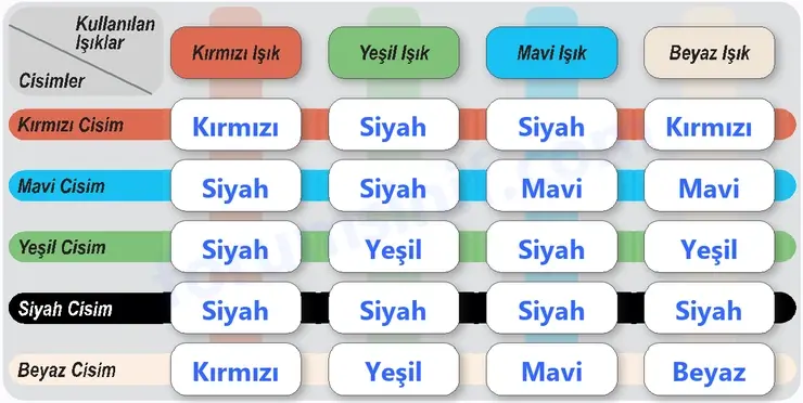 6. Sınıf Fen Bilimleri Ders Kitabı Sayfa 171 Cevapları 6. Sınıf Fen Bilimleri Ders Kitabı Sayfa 171 Cevapları