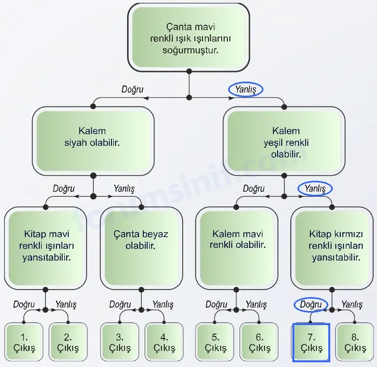 6. Sınıf Fen Bilimleri Ders Kitabı Sayfa 173 Cevapları