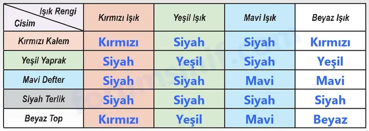 6. Sınıf Fen Bilimleri Ders Kitabı Sayfa 174 Cevapları 6. Sınıf Fen Bilimleri Ders Kitabı Sayfa 174 Cevapları