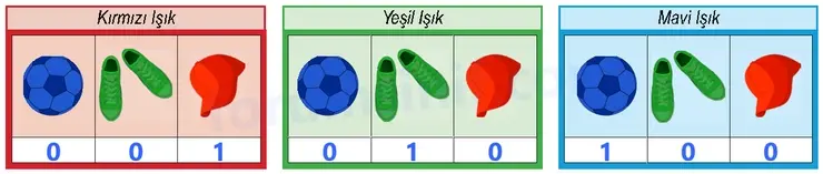 6. Sınıf Fen Bilimleri Ders Kitabı Sayfa 177 Cevapları 6. Sınıf Fen Bilimleri Ders Kitabı Sayfa 177 Cevapları