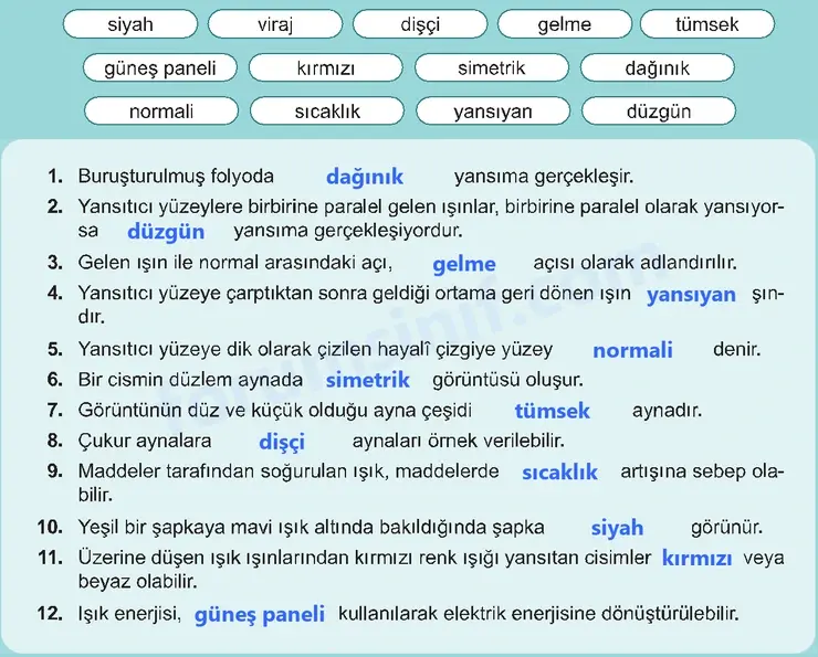 6. Sınıf Fen Bilimleri Ders Kitabı Sayfa 179 Cevapları 6. Sınıf Fen Bilimleri Ders Kitabı Sayfa 179 Cevapları