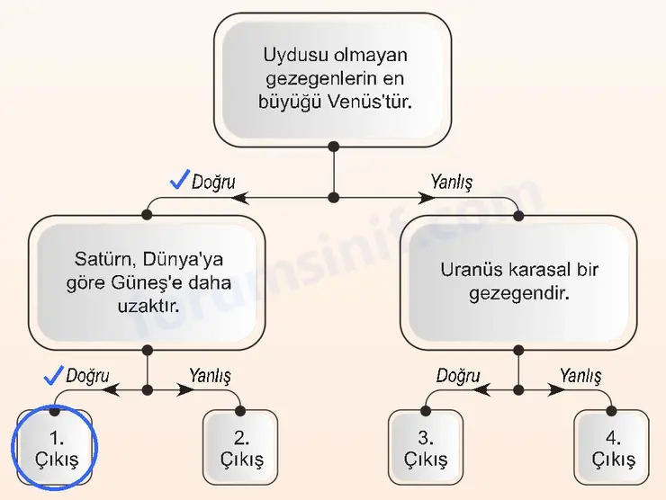 6. Sınıf Fen Bilimleri Ders Kitabı Sayfa 28 Cevapları 6. Sınıf Fen Bilimleri Ders Kitabı Sayfa 28 Cevapları