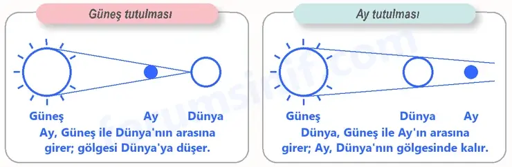6. Sınıf Fen Bilimleri Ders Kitabı Sayfa 30 Cevapları 6. Sınıf Fen Bilimleri Ders Kitabı Sayfa 30 Cevapları