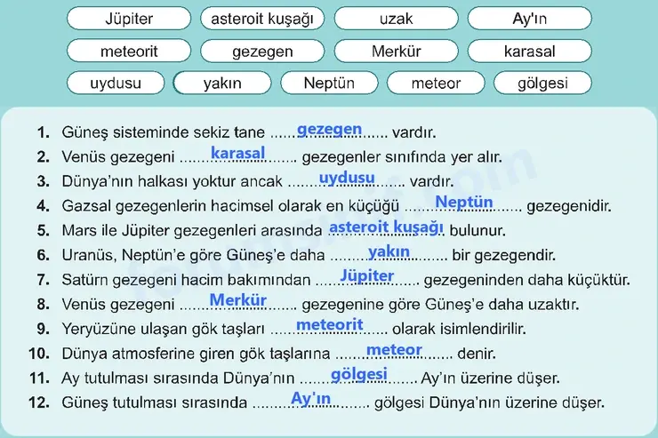 6. Sınıf Fen Bilimleri Ders Kitabı Sayfa 39 Cevapları
