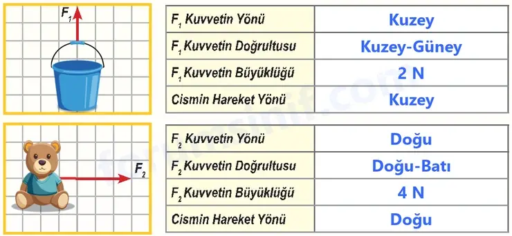 6. Sınıf Fen Bilimleri Ders Kitabı Sayfa 48 Cevapları 6. Sınıf Fen Bilimleri Ders Kitabı Sayfa 48 Cevapları