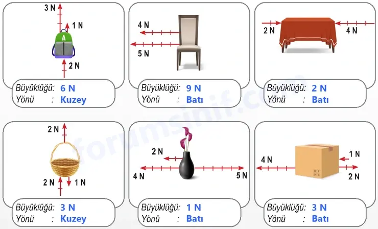 6. Sınıf Fen Bilimleri Ders Kitabı Sayfa 52 Cevapları 6. Sınıf Fen Bilimleri Ders Kitabı Sayfa 52 Cevapları