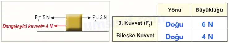 6. Sınıf Fen Bilimleri Ders Kitabı Sayfa 61 Cevapları - 2 6. Sınıf Fen Bilimleri Ders Kitabı Sayfa 61 Cevapları - 2