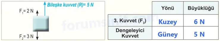 6. Sınıf Fen Bilimleri Ders Kitabı Sayfa 61 Cevapları - 3 6. Sınıf Fen Bilimleri Ders Kitabı Sayfa 61 Cevapları - 3