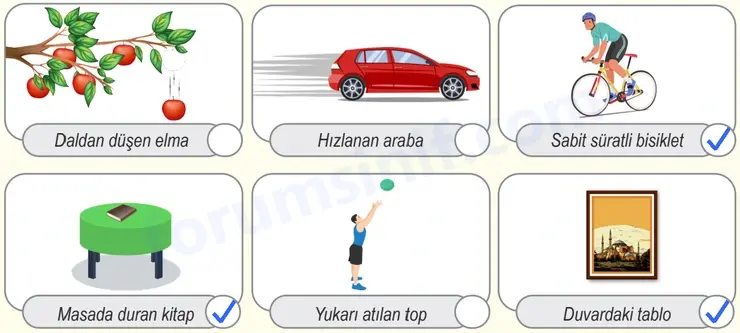 6. Sınıf Fen Bilimleri Ders Kitabı Sayfa 61 Cevapları - 4 6. Sınıf Fen Bilimleri Ders Kitabı Sayfa 61 Cevapları - 4