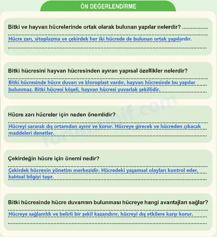 6. Sınıf Fen Bilimleri Ders Kitabı Sayfa 80 Cevapları