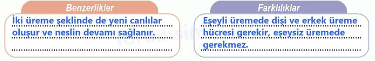 6. Sınıf Fen Bilimleri Ders Kitabı Sayfa 83 Cevapları