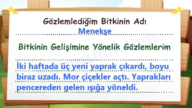 6. Sınıf Fen Bilimleri Ders Kitabı Sayfa 90 Cevapları