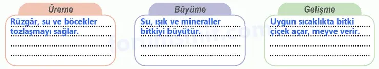 6. Sınıf Fen Bilimleri Ders Kitabı Sayfa 91 Cevapları - 2