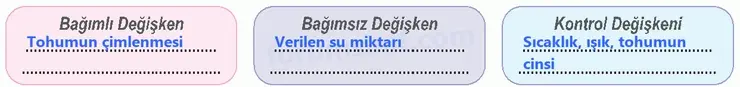 6. Sınıf Fen Bilimleri Ders Kitabı Sayfa 95 Cevapları - 2