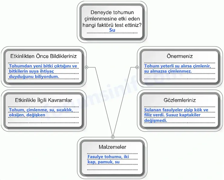 6. Sınıf Fen Bilimleri Ders Kitabı Sayfa 96 Cevapları