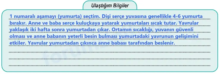 6. Sınıf Fen Bilimleri Ders Kitabı Sayfa 99 Cevapları 6. Sınıf Fen Bilimleri Ders Kitabı Sayfa 99 Cevapları