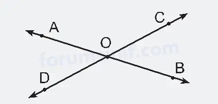 6. Sınıf Matematik Ders Kitabı Sayfa 15 Görseli İkinci Kitap 6. Sınıf Matematik Ders Kitabı Sayfa 15 Görseli İkinci Kitap