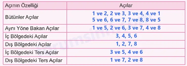 6. Sınıf Matematik Ders Kitabı Sayfa 16 Cevapları İkinci Kitap - 2