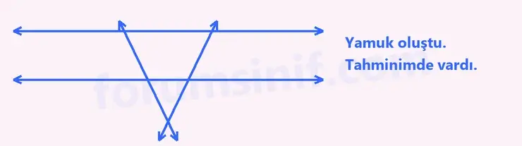 6. Sınıf Matematik Ders Kitabı Sayfa 22 Cevapları İkinci Kitap