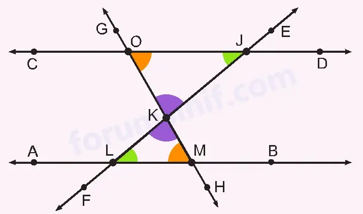 6. Sınıf Matematik Ders Kitabı Sayfa 23 Cevapları İkinci Kitap
