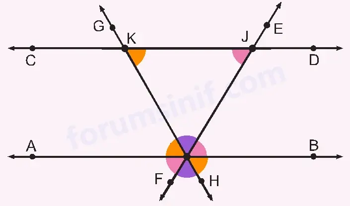 6. Sınıf Matematik Ders Kitabı Sayfa 24 Cevapları İkinci Kitap
