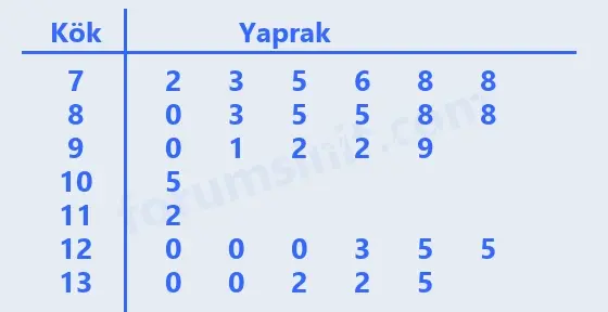 6. Sınıf Matematik Ders Kitabı Sayfa 183 Cevapları 1. Kitap - 2 6. Sınıf Matematik Ders Kitabı Sayfa 183 Cevapları 1. Kitap - 2