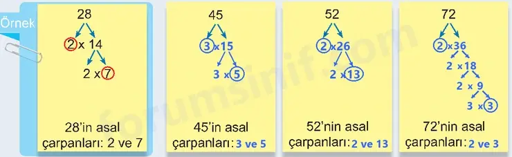 6. Sınıf Matematik Ders Kitabı Sayfa 43 Cevapları 1. Kitap 6. Sınıf Matematik Ders Kitabı Sayfa 43 Cevapları 1. Kitap