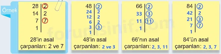6. Sınıf Matematik Ders Kitabı Sayfa 44 Cevapları 1. Kitap 6. Sınıf Matematik Ders Kitabı Sayfa 44 Cevapları 1. Kitap