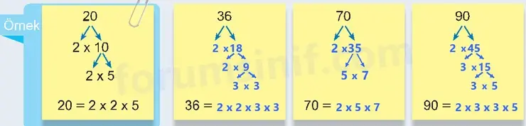 6. Sınıf Matematik Ders Kitabı Sayfa 44 Cevapları 1. Kitap - 2 6. Sınıf Matematik Ders Kitabı Sayfa 44 Cevapları 1. Kitap - 2
