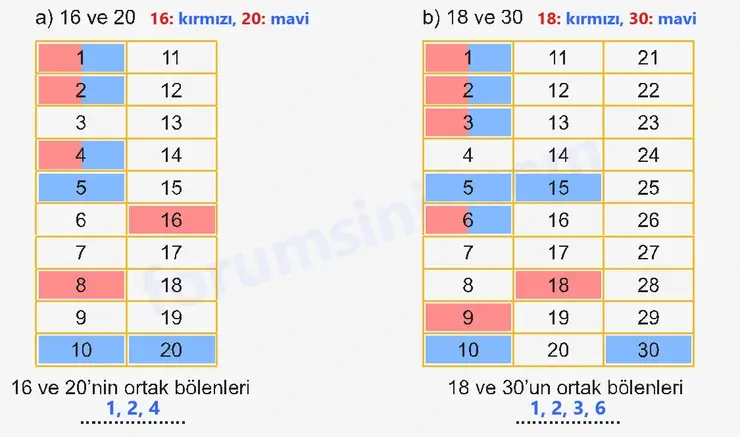 6. Sınıf Matematik Ders Kitabı Sayfa 53 Cevapları 1. Kitap 6. Sınıf Matematik Ders Kitabı Sayfa 53 Cevapları 1. Kitap