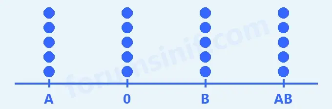6. Sınıf Matematik Ders Kitabı Sayfa 70 Cevapları 1. Kitap - 2 6. Sınıf Matematik Ders Kitabı Sayfa 70 Cevapları 1. Kitap - 2