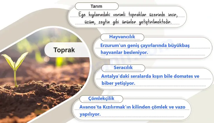 6. Sınıf Sosyal Bilgiler Ders Kitabı Sayfa 58 Cevapları 2. KİTAP