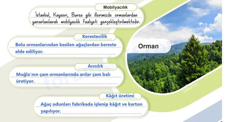 6. Sınıf Sosyal Bilgiler Ders Kitabı Sayfa 59 Cevapları 2. KİTAP