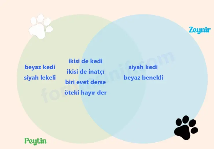 6. Sınıf Türkçe Ders Kitabı Sayfa 37 Cevapları 2. KİTAP - 2 6. Sınıf Türkçe Ders Kitabı Sayfa 37 Cevapları 2. KİTAP - 2