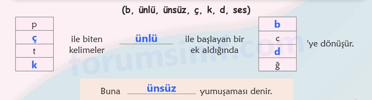 6. Sınıf Türkçe Ders Kitabı Sayfa 141 Cevapları 1. Kitap 6. Sınıf Türkçe Ders Kitabı Sayfa 141 Cevapları 1. Kitap