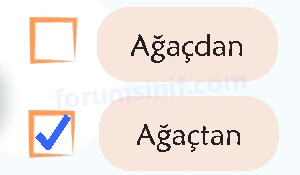 6. Sınıf Türkçe Ders Kitabı Sayfa 161 Cevapları 1. Kitap 6. Sınıf Türkçe Ders Kitabı Sayfa 161 Cevapları 1. Kitap