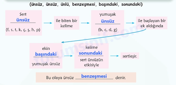 6. Sınıf Türkçe Ders Kitabı Sayfa 161 Cevapları 1. Kitap - 3 6. Sınıf Türkçe Ders Kitabı Sayfa 161 Cevapları 1. Kitap - 3