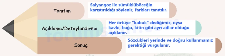 6. Sınıf Türkçe Ders Kitabı Sayfa 38 Cevapları 1. Kitap 6. Sınıf Türkçe Ders Kitabı Sayfa 38 Cevapları 1. Kitap