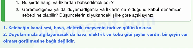 7. Sınıf Din Kültürü Sayfa 13 Cevapları MEB Yayınları 7. Sınıf Din Kültürü Sayfa 13 Cevapları MEB Yayınları