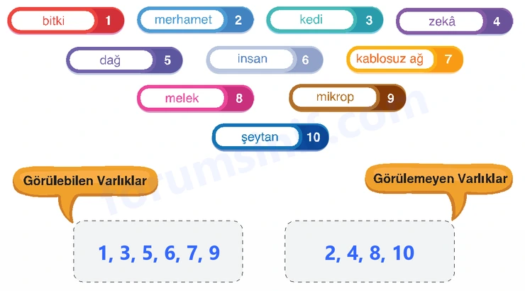 7. Sınıf Din Kültürü Sayfa 16 Cevapları MEB Yayınları 7. Sınıf Din Kültürü Sayfa 16 Cevapları MEB Yayınları