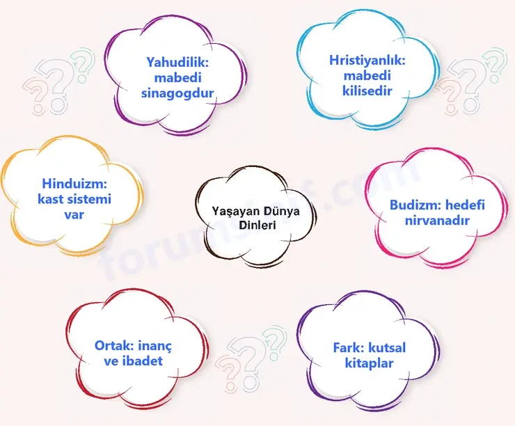 7. Sınıf Din Kültürü Sayfa 164 Cevapları MEB Yayınları 7. Sınıf Din Kültürü Sayfa 164 Cevapları MEB Yayınları