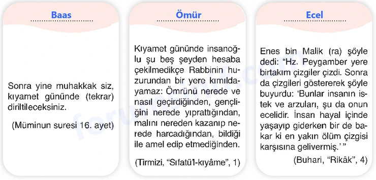 7. Sınıf Din Kültürü Sayfa 24 Cevapları MEB Yayınları 7. Sınıf Din Kültürü Sayfa 24 Cevapları MEB Yayınları