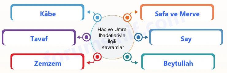 7. Sınıf Din Kültürü Sayfa 50 Cevapları MEB Yayınları