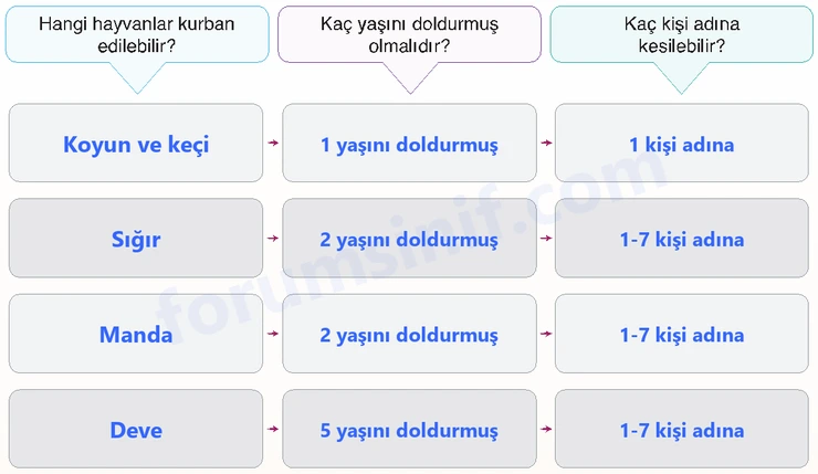 7. Sınıf Din Kültürü Sayfa 63 Cevapları MEB Yayınları 7. Sınıf Din Kültürü Sayfa 63 Cevapları MEB Yayınları