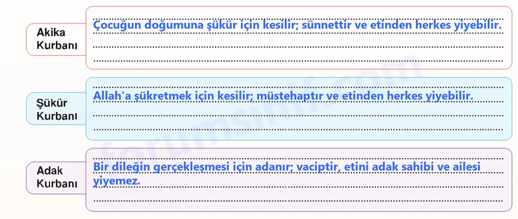 7. Sınıf Din Kültürü Sayfa 81 Cevapları MEB Yayınları - 2