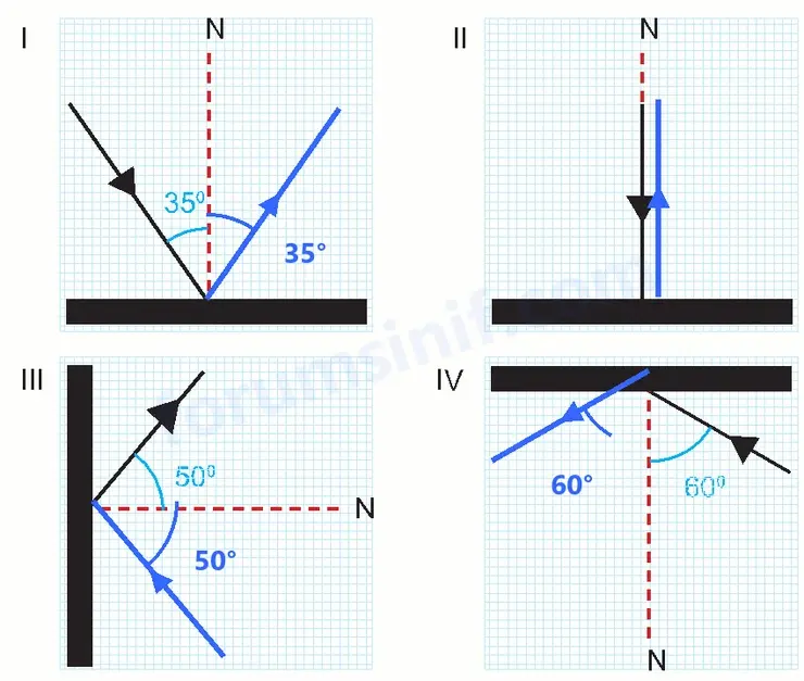 7. Sınıf Fen Bilimleri Ders Kitabı Sayfa 14 Cevapları 2. KİTAP - 2