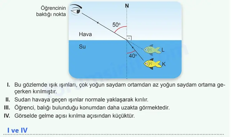 7. Sınıf Fen Bilimleri Ders Kitabı Sayfa 19 Cevapları 2. KİTAP 7. Sınıf Fen Bilimleri Ders Kitabı Sayfa 19 Cevapları 2. KİTAP