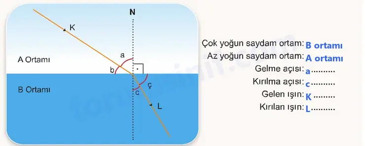 7. Sınıf Fen Bilimleri Ders Kitabı Sayfa 22 Cevapları 2. KİTAP - 2 7. Sınıf Fen Bilimleri Ders Kitabı Sayfa 22 Cevapları 2. KİTAP - 2