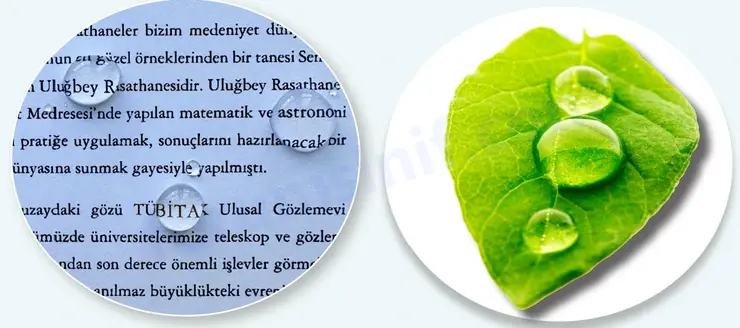 7. Sınıf Fen Bilimleri Ders Kitabı Sayfa 24 2. KİTAP 7. Sınıf Fen Bilimleri Ders Kitabı Sayfa 24 2. KİTAP